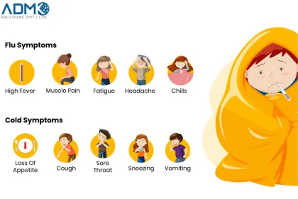 Infographic 10