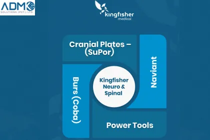Infographic 5